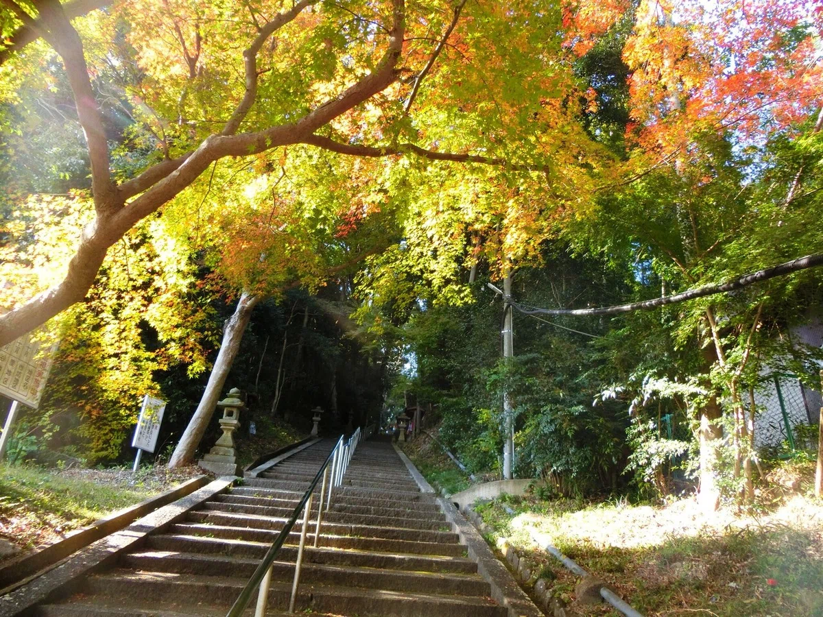 画像4