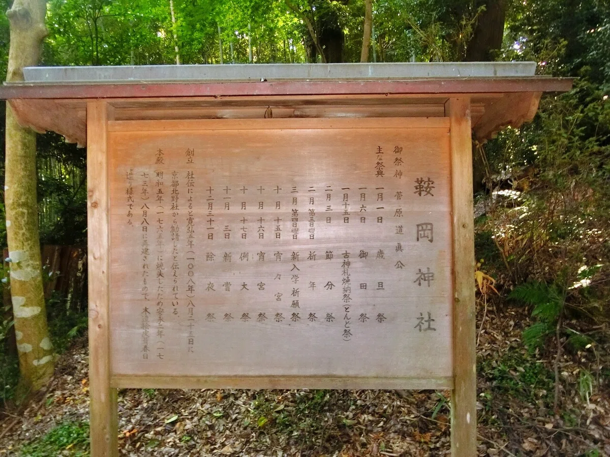 画像5