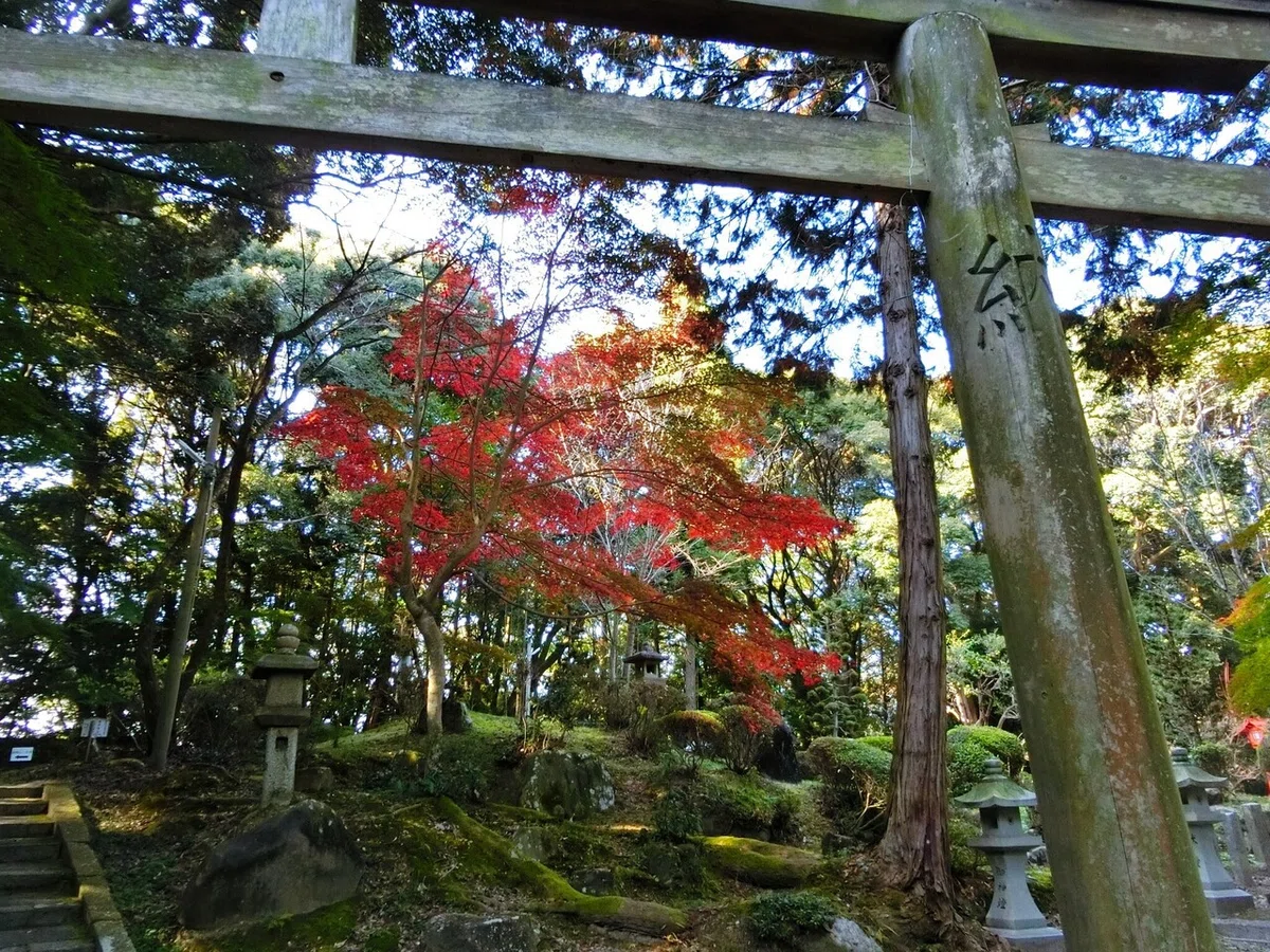 画像8