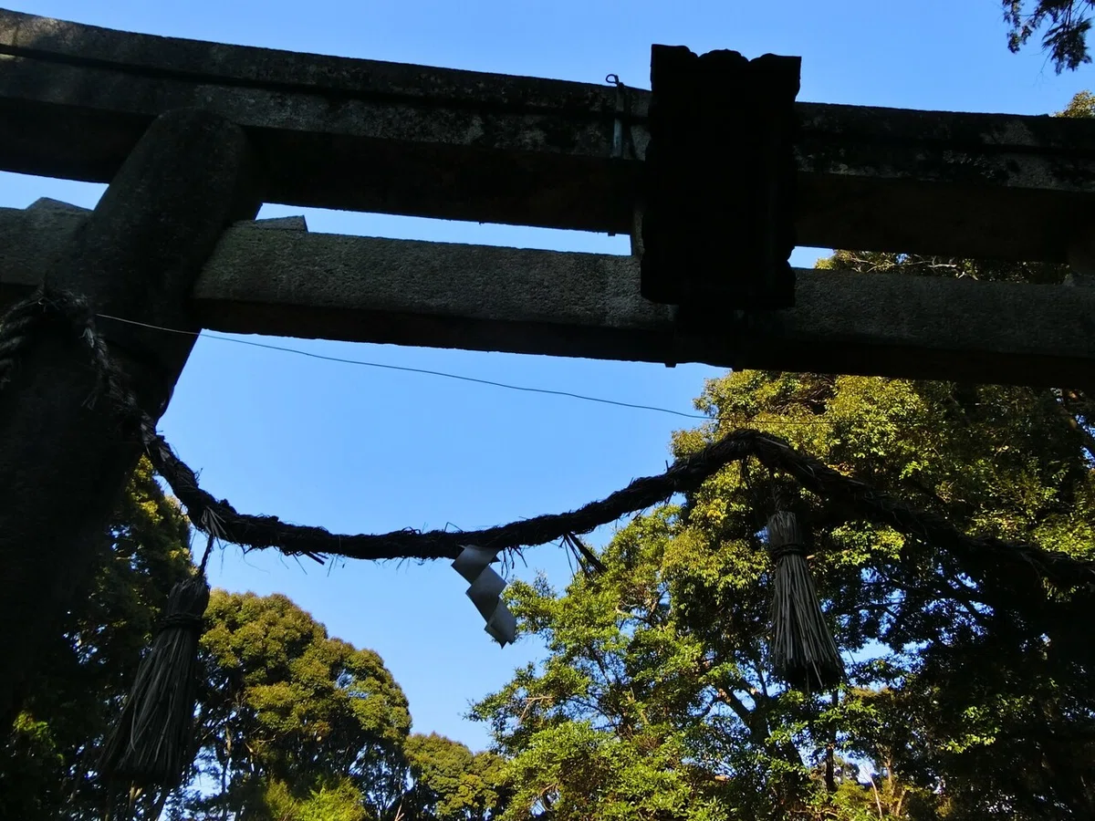 画像9