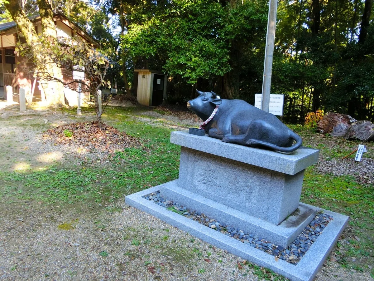 画像10