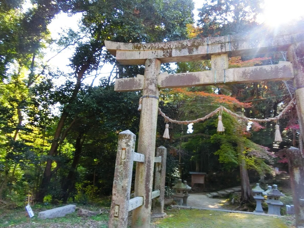 画像11