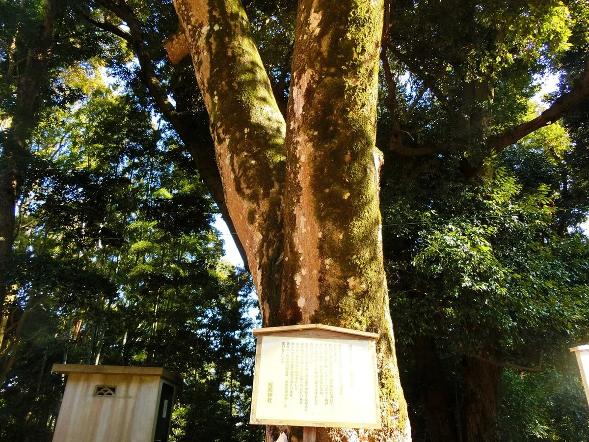 画像17