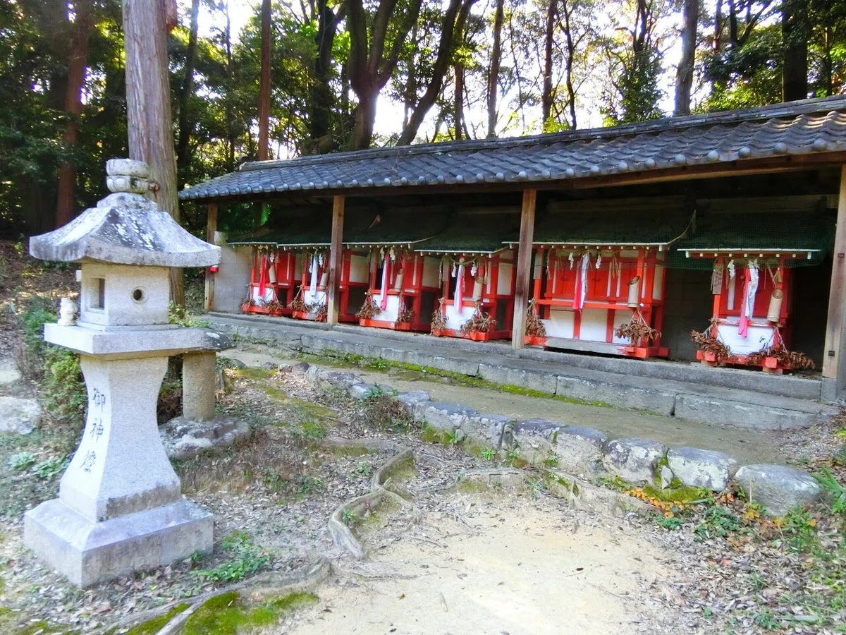 画像19