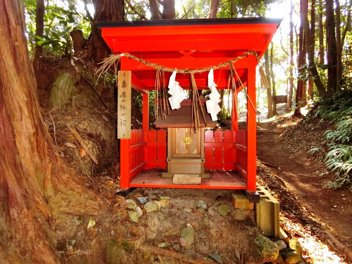 画像26