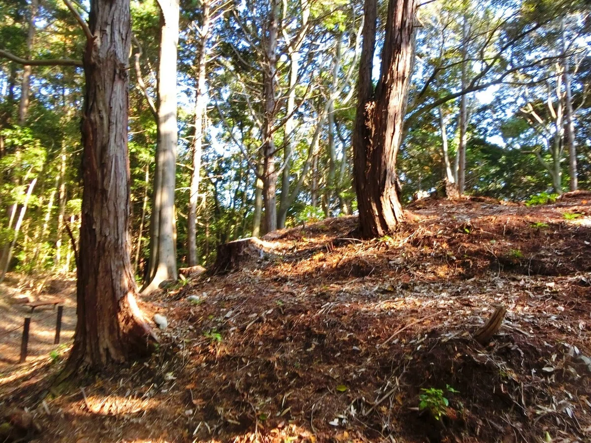 画像29