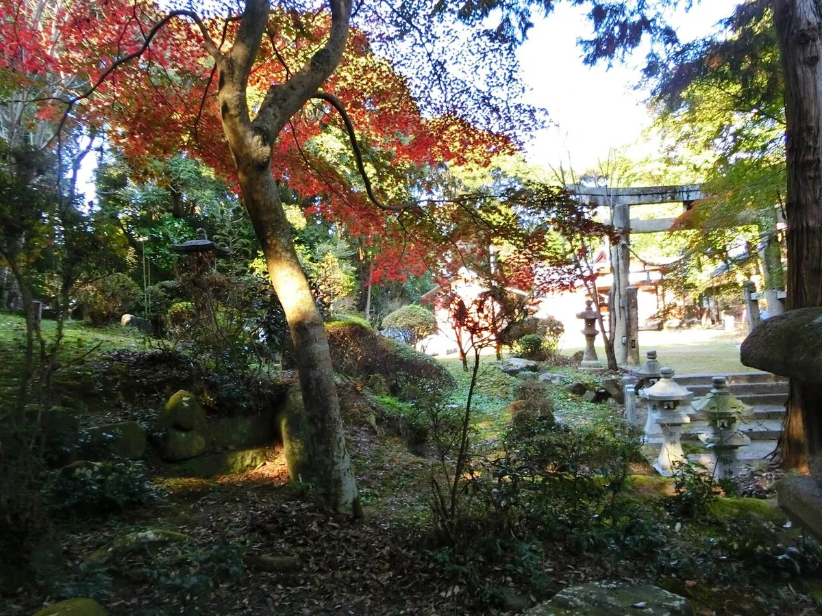 画像33