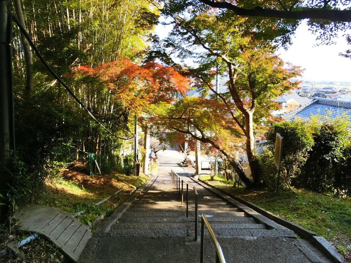 画像34