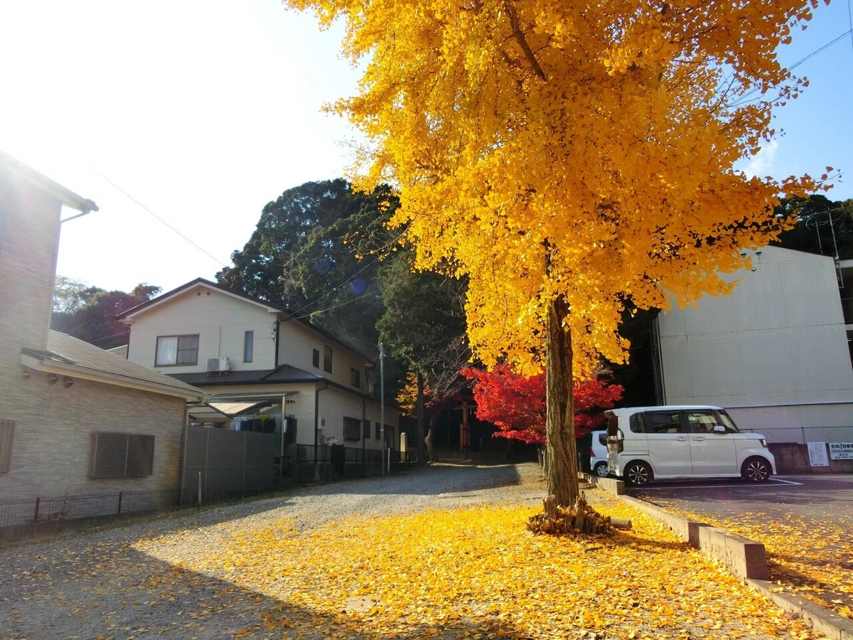 画像2