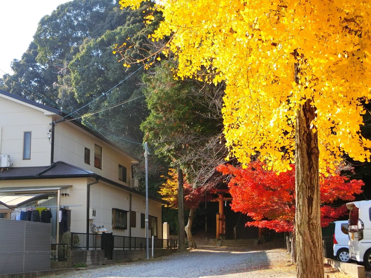画像3