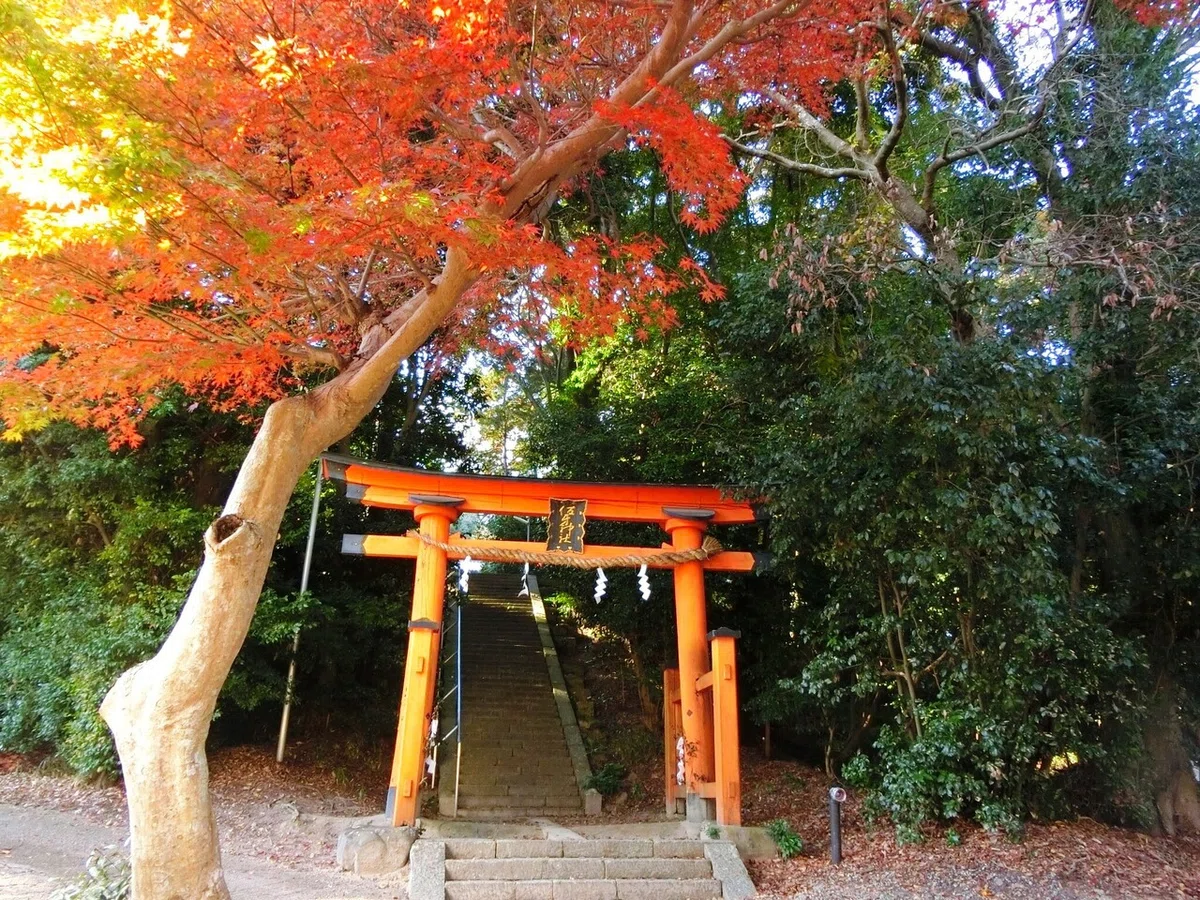 画像4