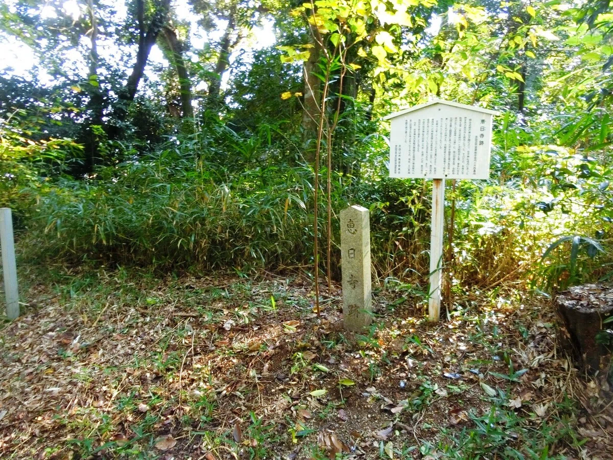 画像6