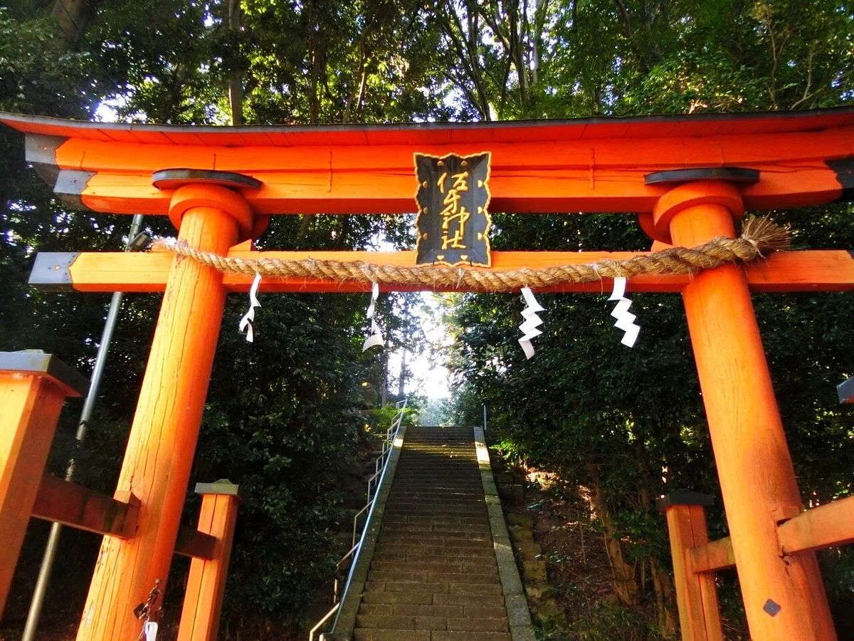 画像7