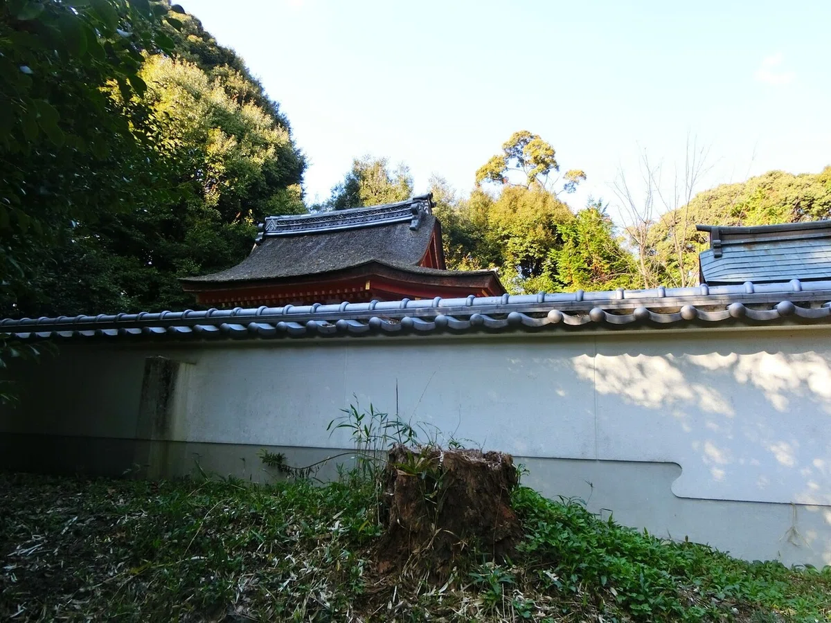 画像9