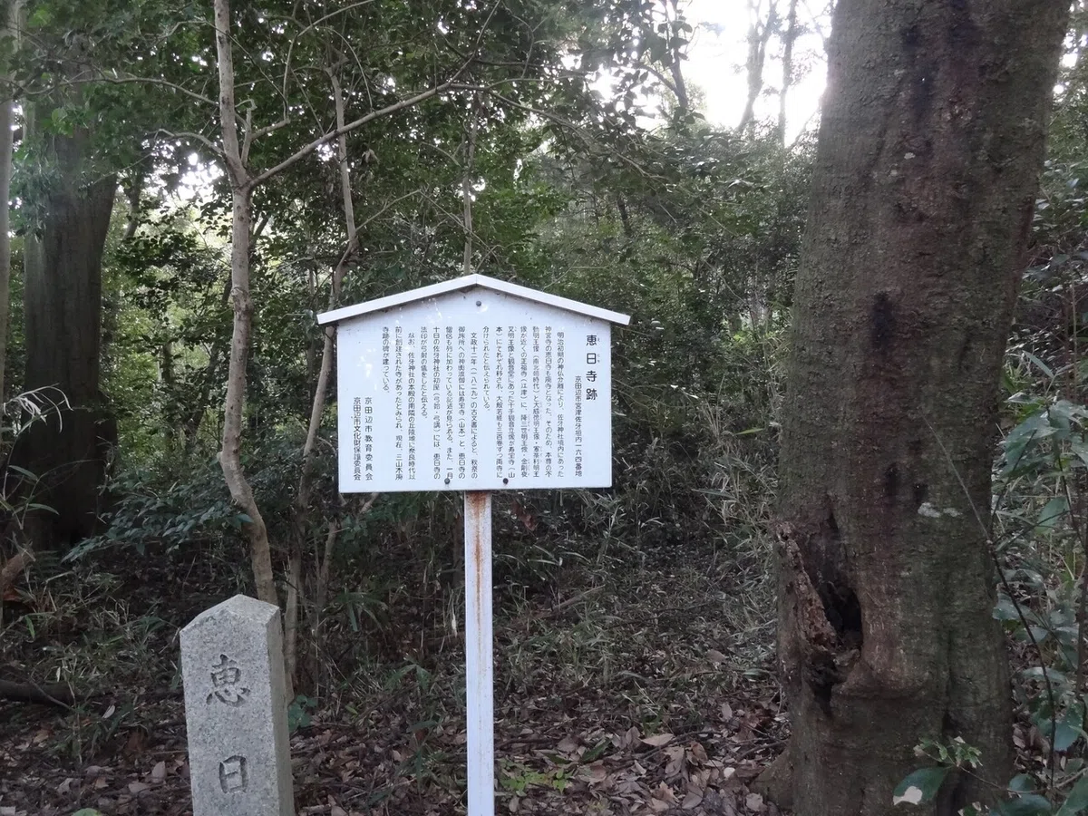 画像12