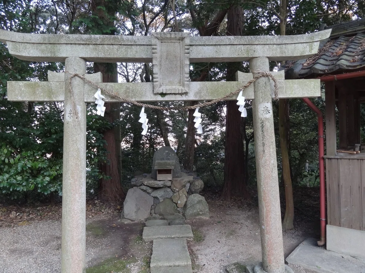 画像14