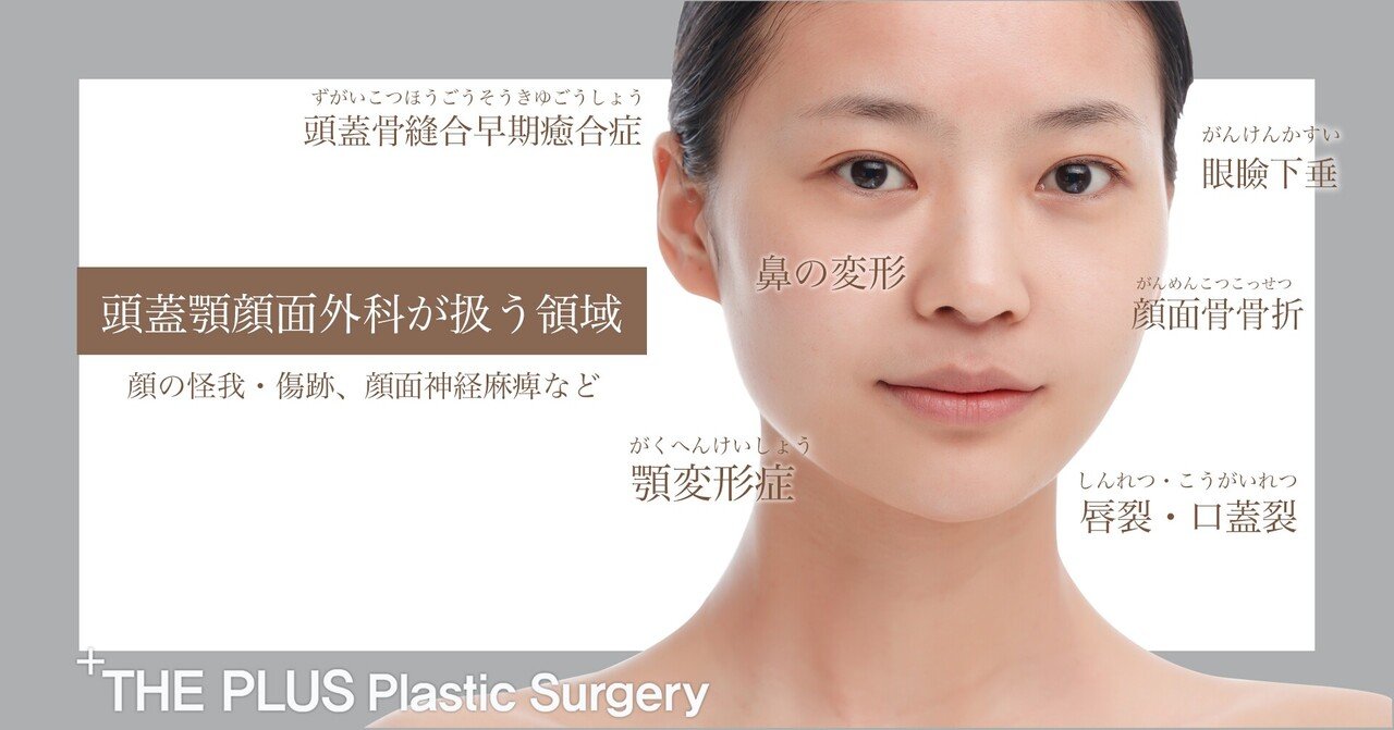 頭蓋顎顔面外科 最近の進歩 第2版 頭蓋顎顔面外科 最近の進歩 第2版 ADVANCE SERIES I-5 頭蓋顎顔面外科