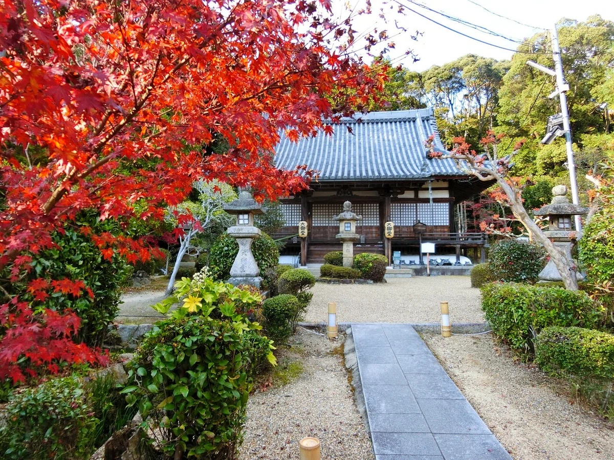 画像1