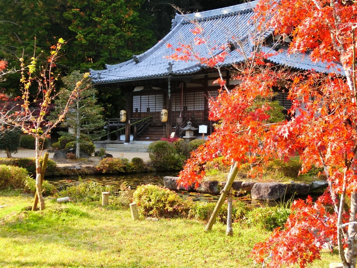 画像6