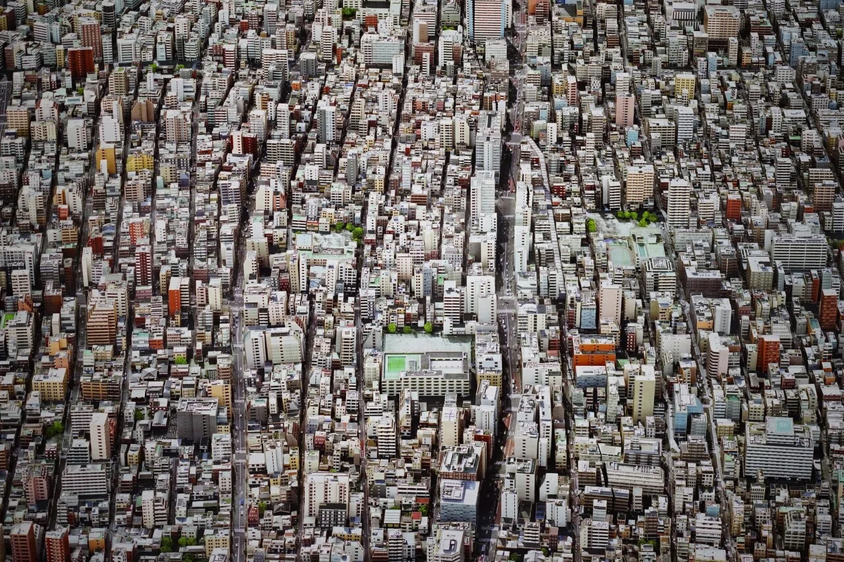 画像8