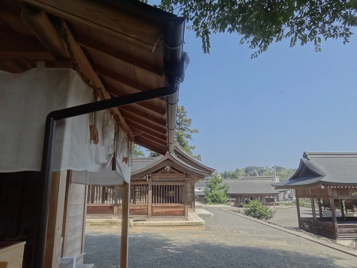 画像7