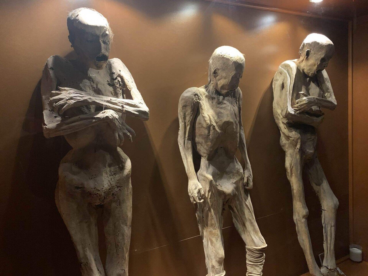 閲覧注意】 ミイラ博物館｜Satoru Suzuki