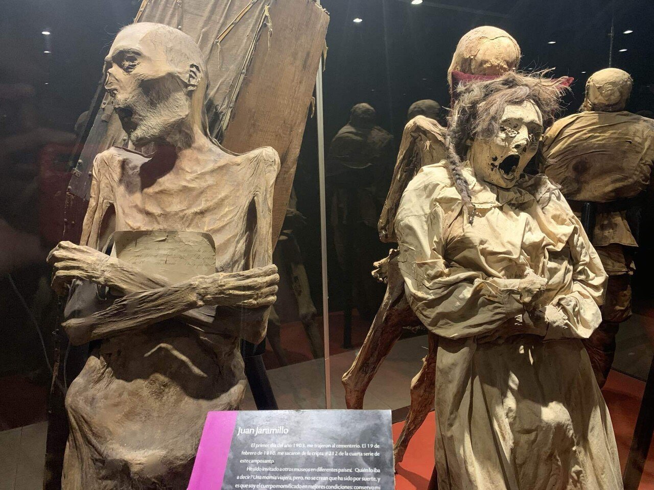 閲覧注意】 ミイラ博物館｜Satoru Suzuki