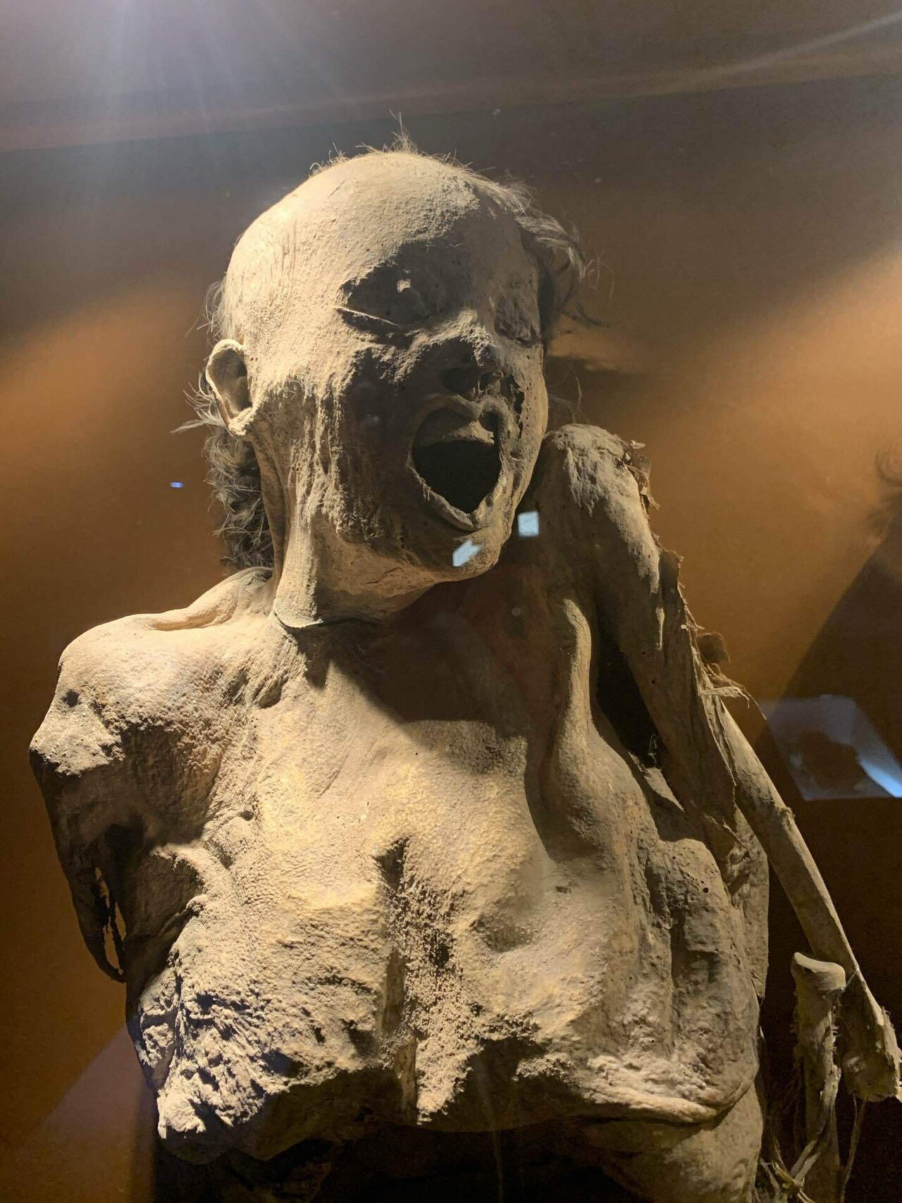 モノクロ ミイラ写真 閲覧注意】 ミイラ博物館｜Satoru Suzuki