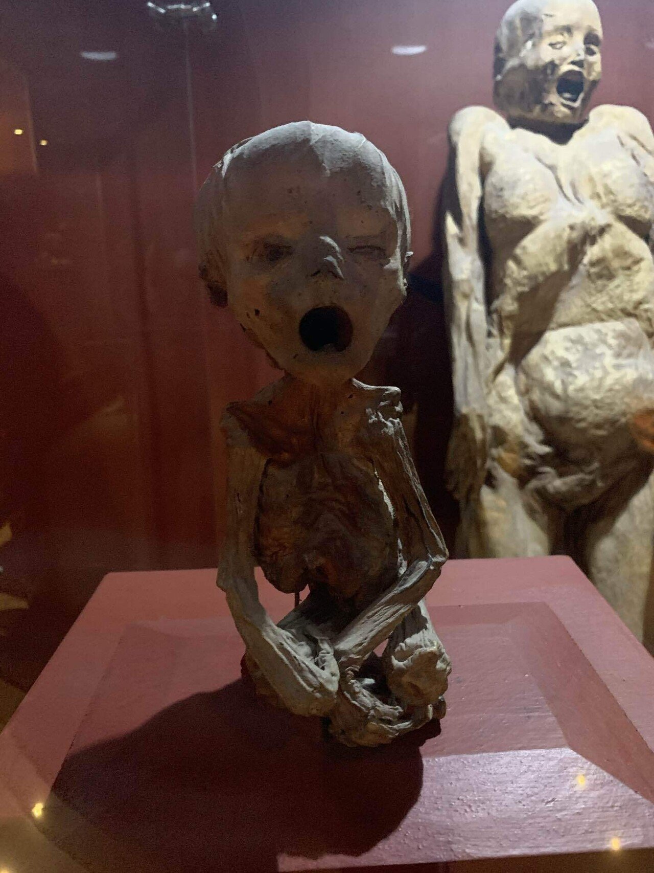 閲覧注意】 ミイラ博物館｜Satoru Suzuki