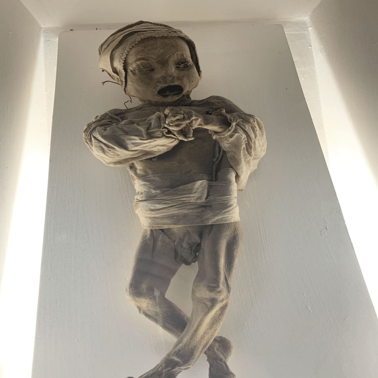 閲覧注意】 ミイラ博物館｜Satoru Suzuki