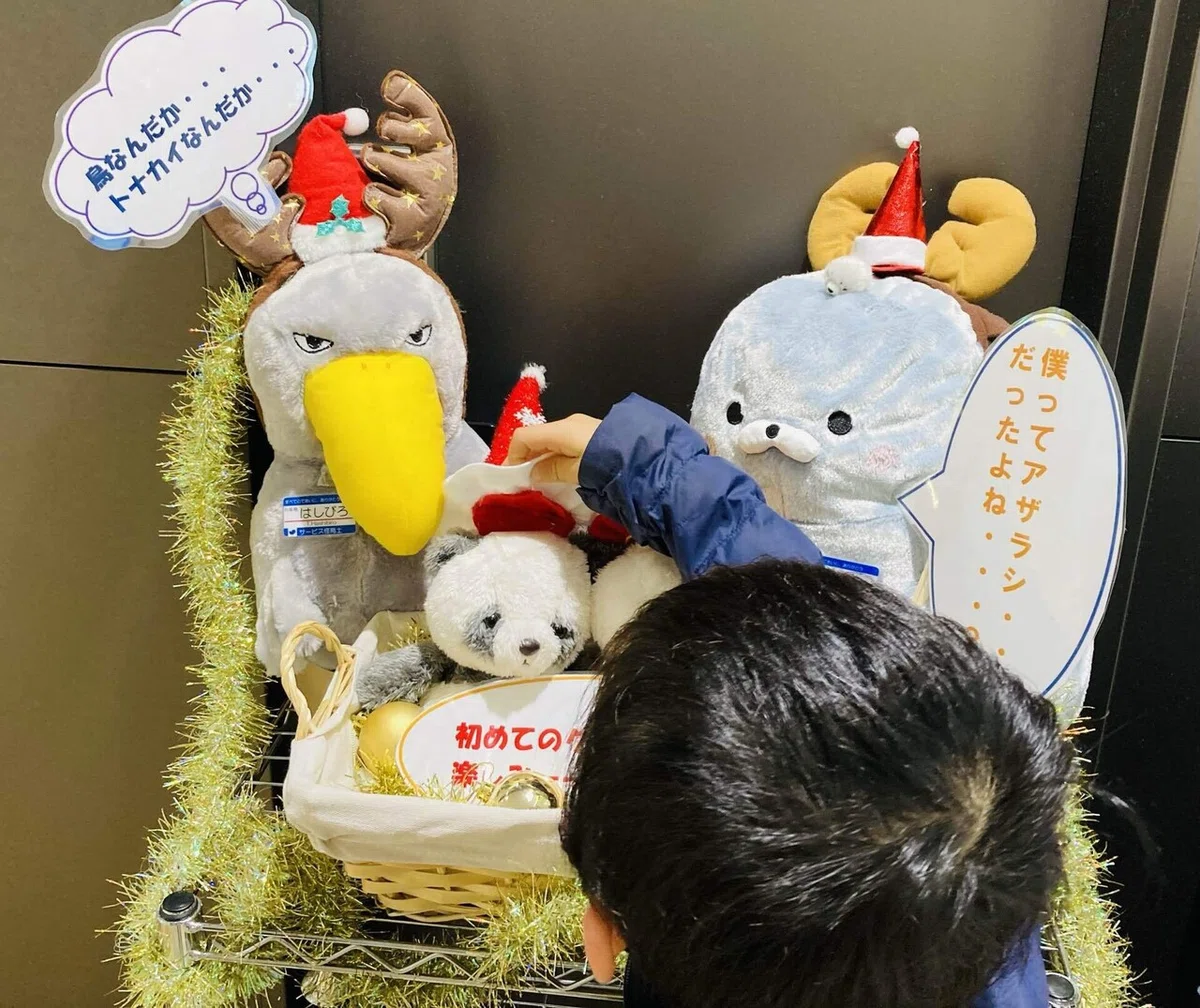 画像5