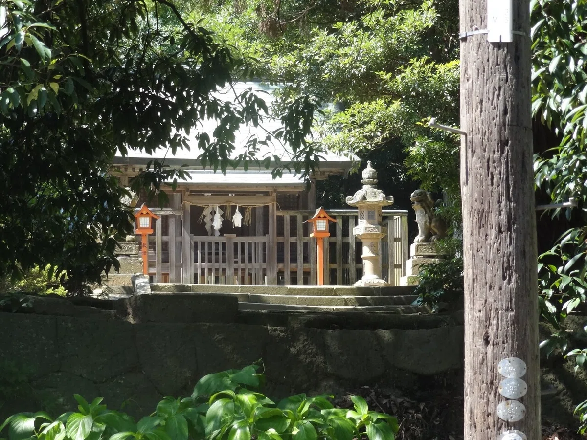 画像5