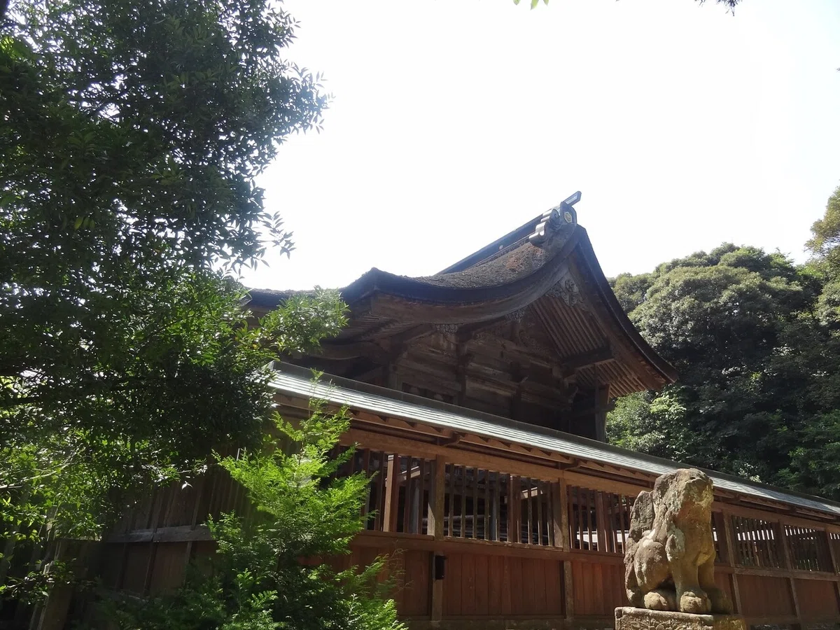 画像6