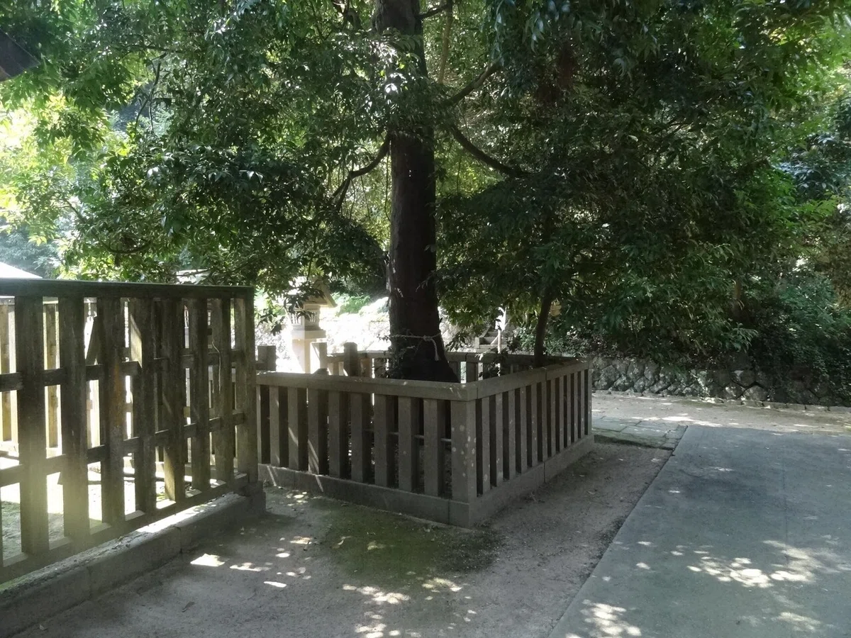 画像8