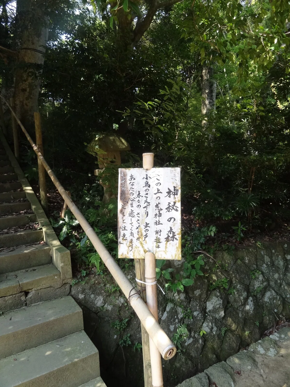 画像10