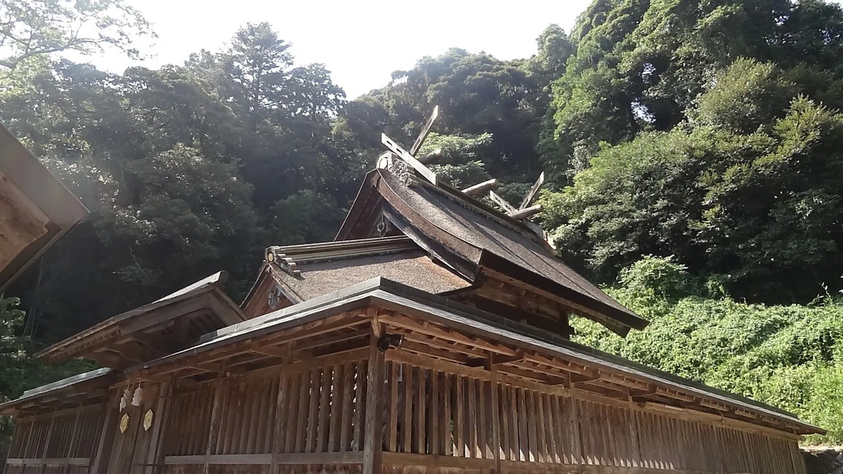 画像15