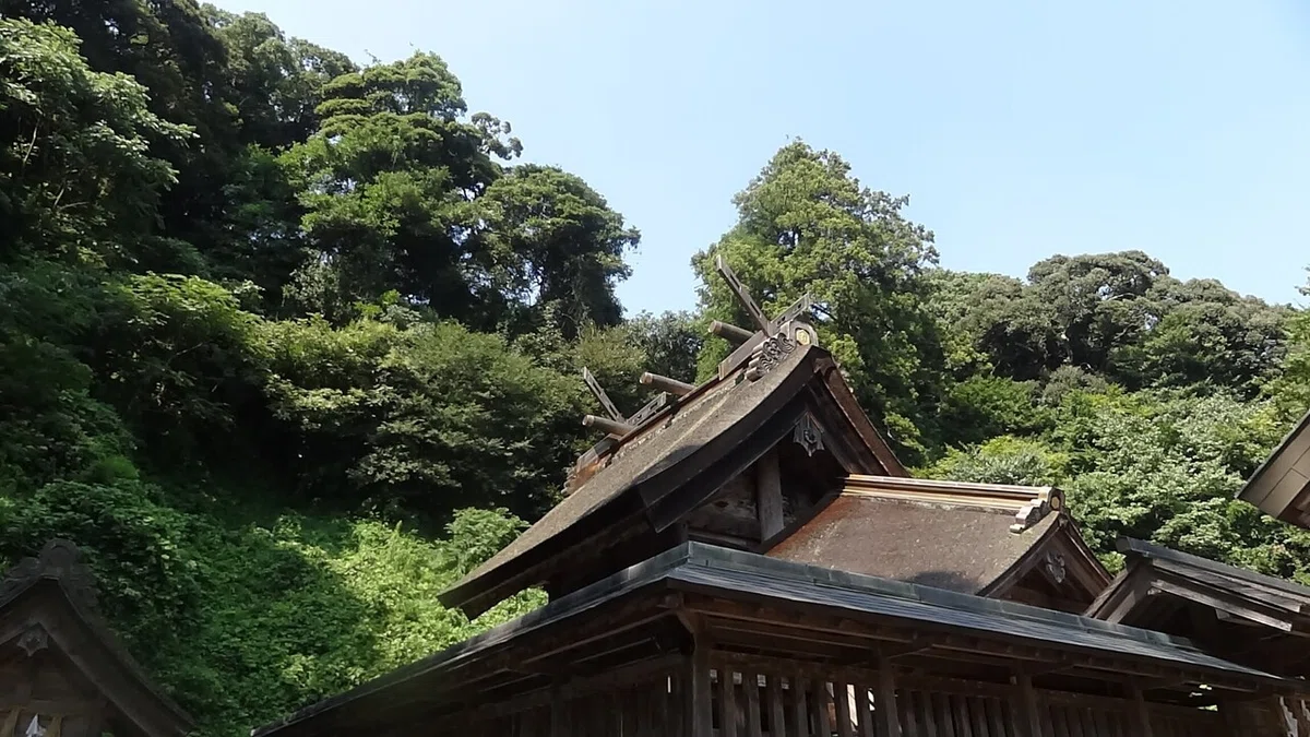 画像16
