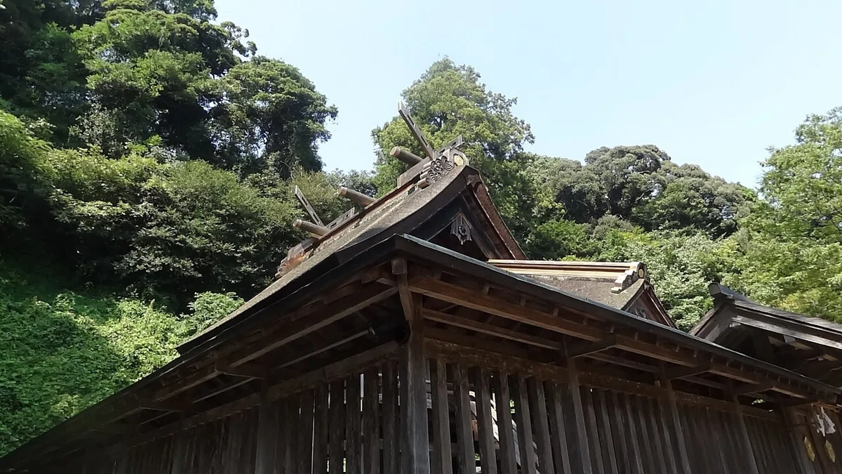 画像17