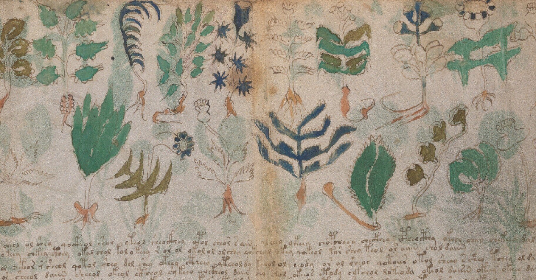 ヴォイニッチ手稿（Voynich Manuscript）