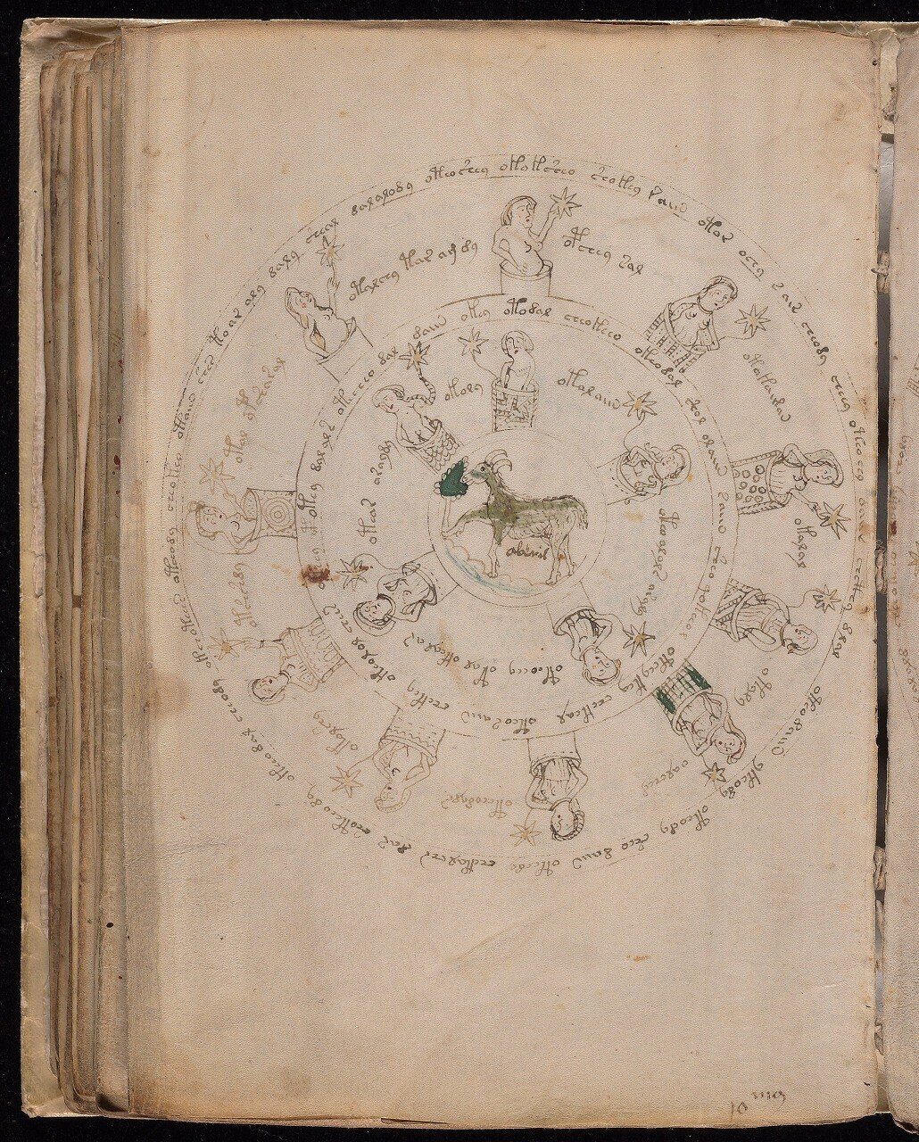 ヴォイニッチ手稿 [The Voynich Manuscript]｜キータン🦋