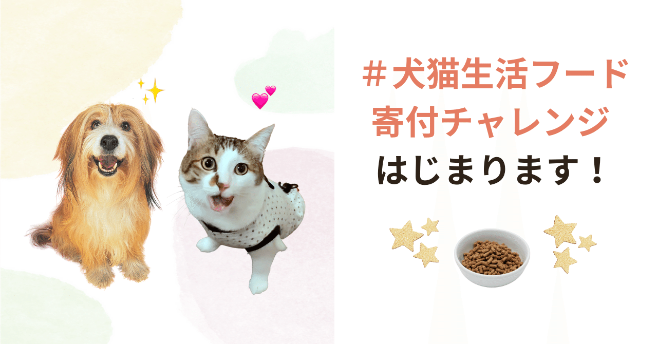 シェルターのわんにゃんに上質なフードをたっぷり食べてもらいたい