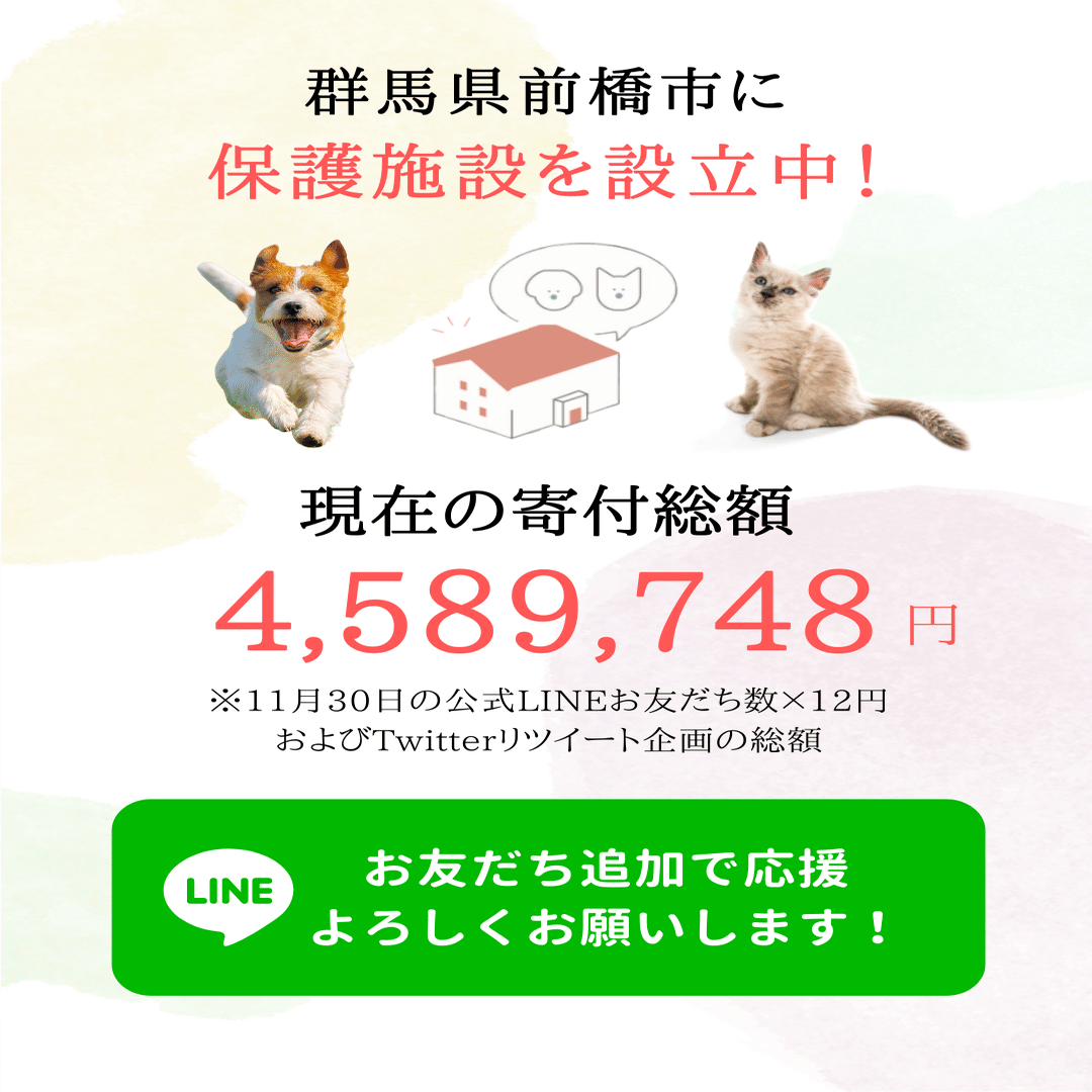 シェルターのわんにゃんに上質なフードをたっぷり食べてもらいたい