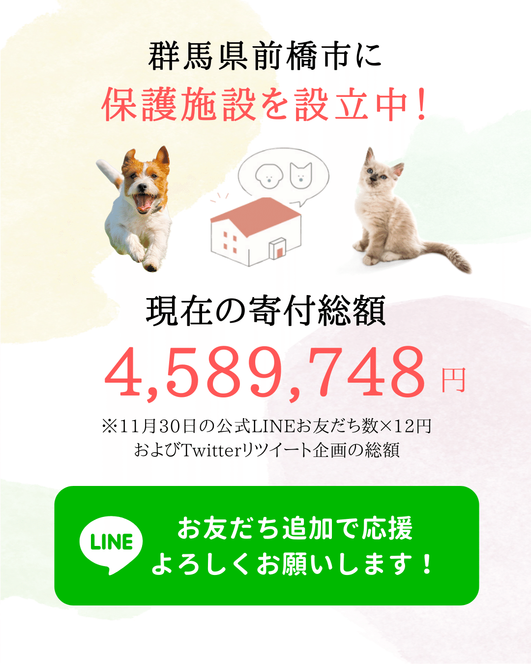 シェルターのわんにゃんに上質なフードをたっぷり食べてもらいたい