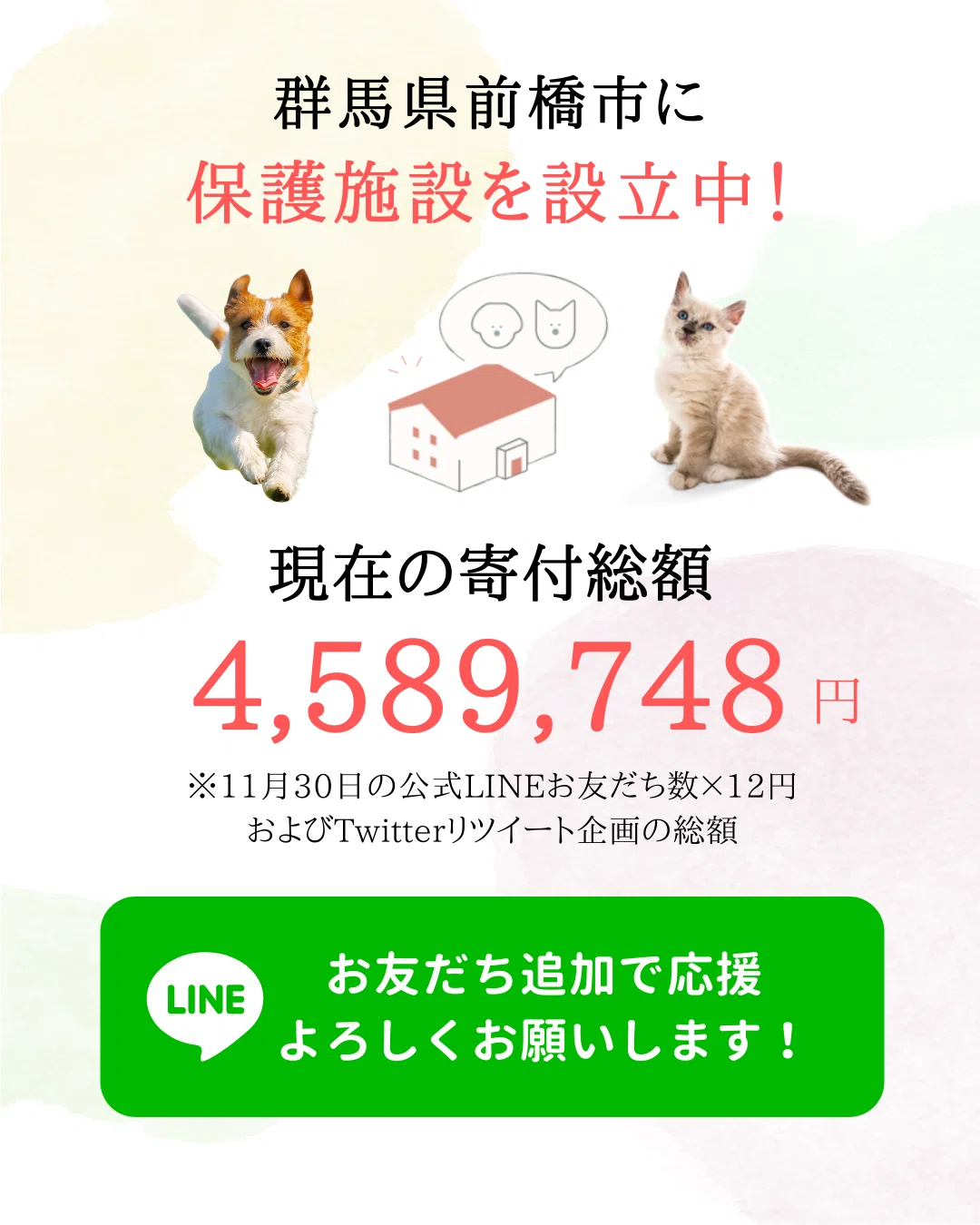 買い誠実 わんにゃんさん専用となります Ss Gobernaciondelmagdalena Gov Co