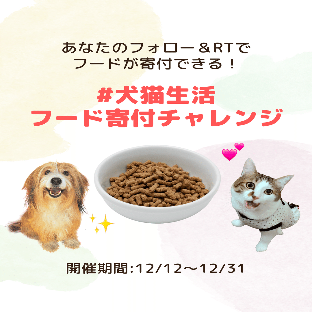 シェルターのわんにゃんに上質なフードをたっぷり食べてもらいたい