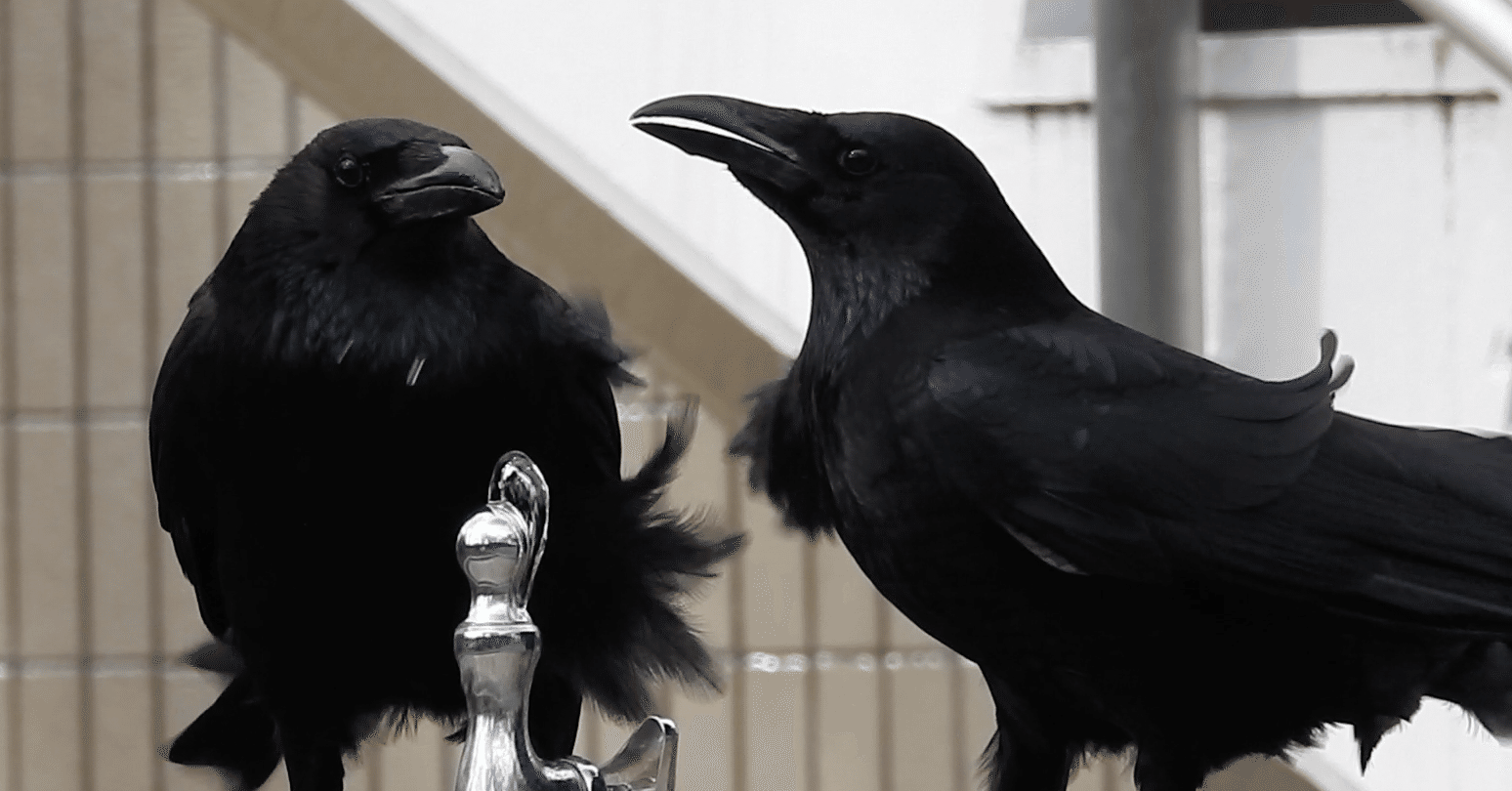 96bbeb6ba0d4e94102a70d2b8f5e8d