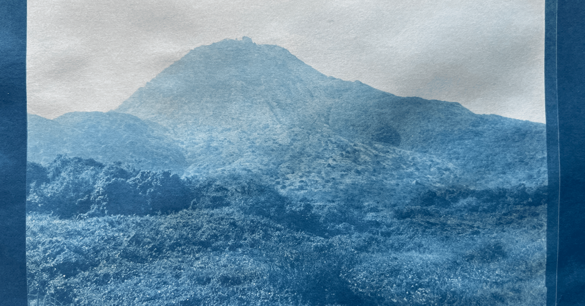 コンタクトプリント｜怪力熊男