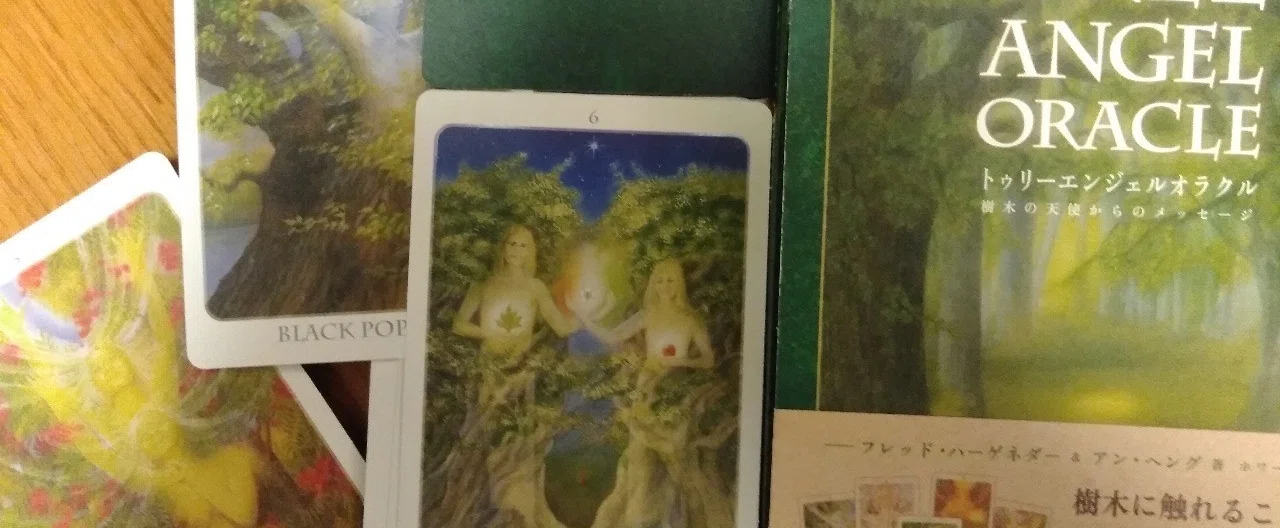 The Tree Angel Oracle カード｜のぐち まゆみ（わたしの三日坊主日記）｜note