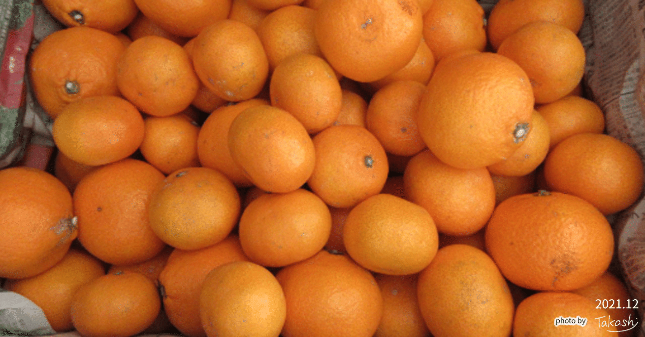 いしじみかん」って知っていましたか？ 地名ではなく、人名だった