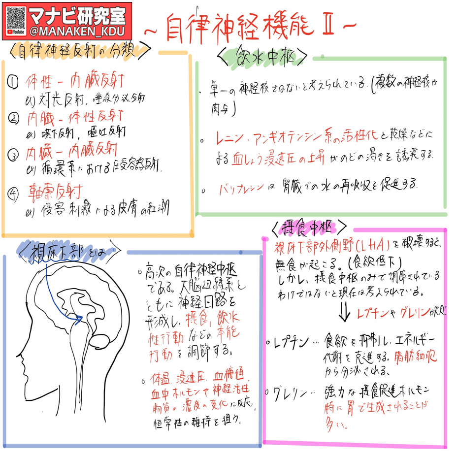 九歯大学生さんからの講義グラレコ紹介：自律神経機能Ⅱ 2021｜マナビ
